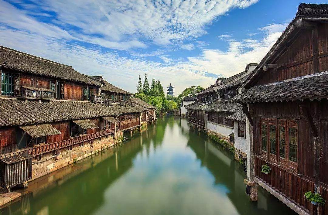 吉鹿力问答社区,解答你关于我们家养了一条拉布拉多。经常带他出去跑步,发现狗狗的脚指甲出血了,红线都给磨破了的疑惑
